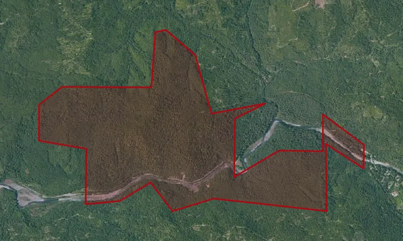 Grizzly Creek