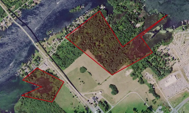 Collins Landing Wma