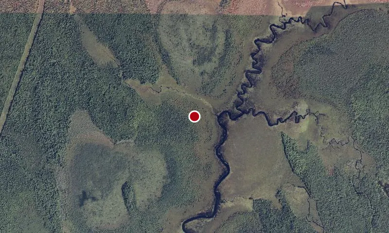 Sunkhaze Meadows National Wildlife Refuge