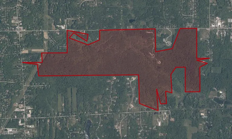 The West Woods
