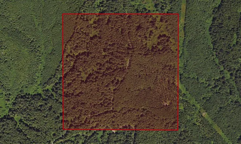 Pawn Growth Plots 6-8 Experimental Research Area