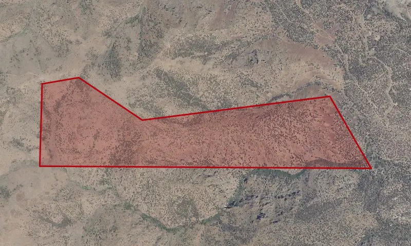 Morey - North Roadless Area