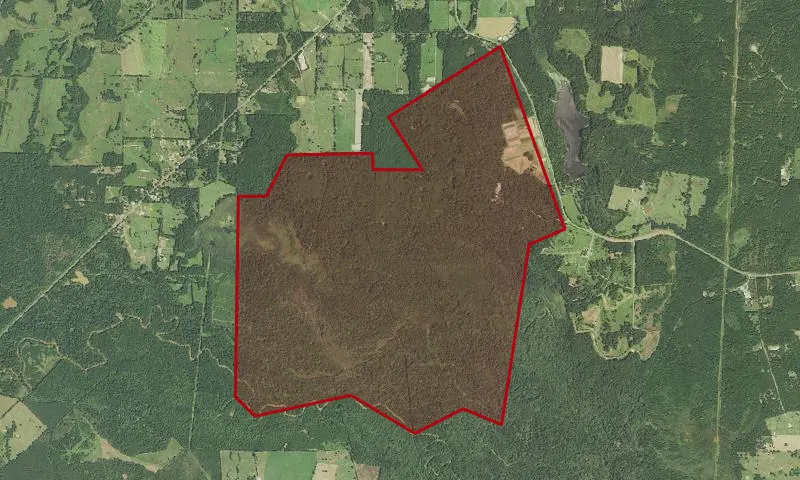 Stephen F. Austin Experimental Forest