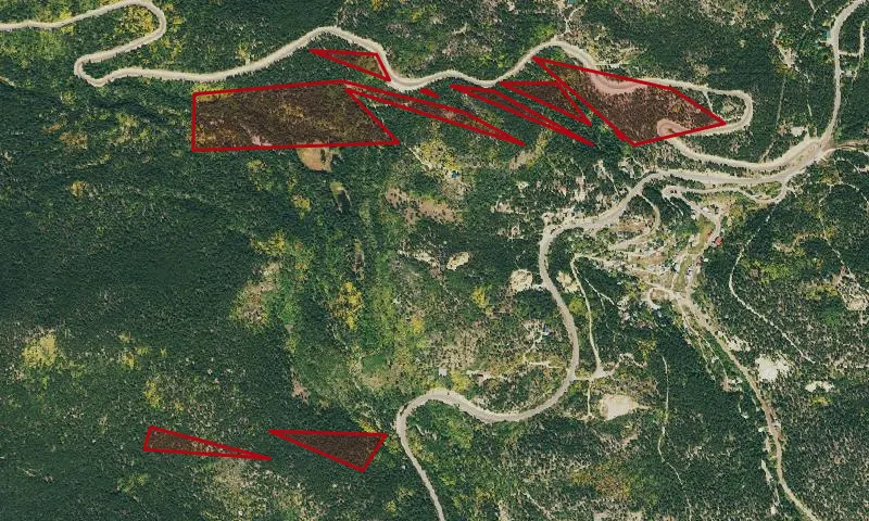 Ward Wildlands