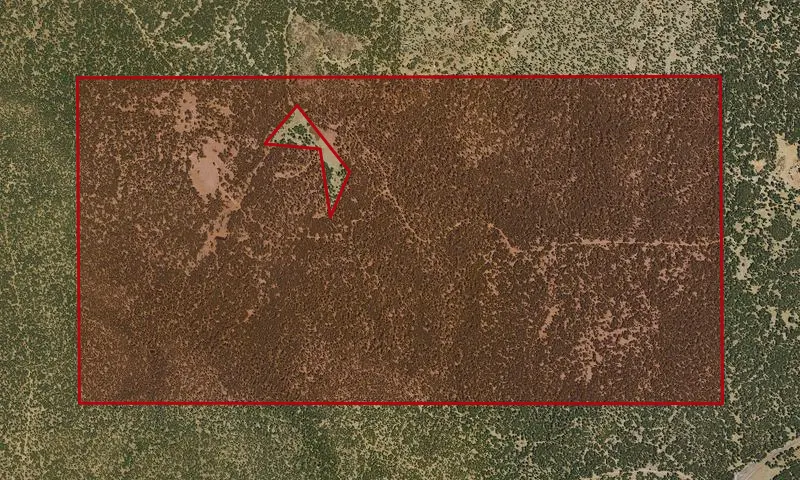Long Valley Experimental Forest