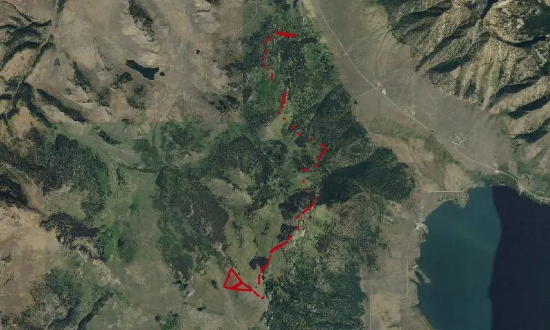 Freezeout Mountain Roadless Area