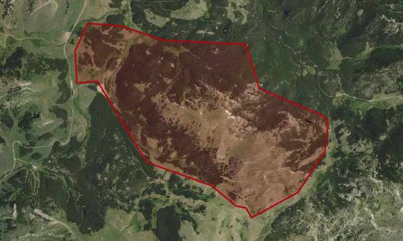 Bruce Mountain Roadless Area