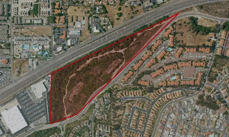 Buena Vista Creek