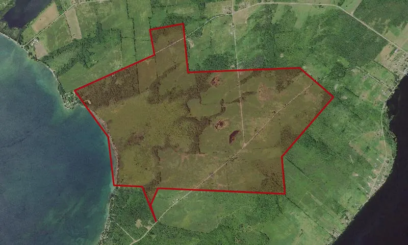 Point Peninsula Wma