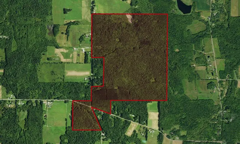 Wellman Multiple Use Area