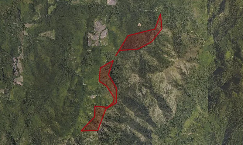 Mule Creek Roadless Area