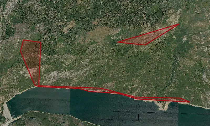 Salt Springs Roadless Area