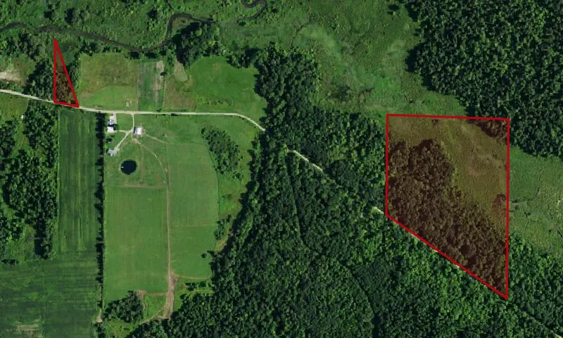 Jacquins Pond Wma