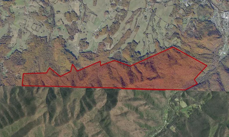 Beaver Dam Creek Roadless Area