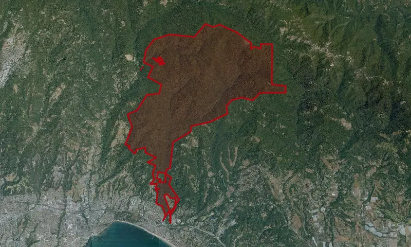 The Forest of Nisene Marks State Park