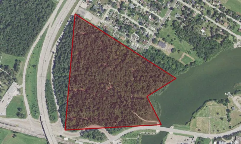Forty Acre Wood-Future Park Trail