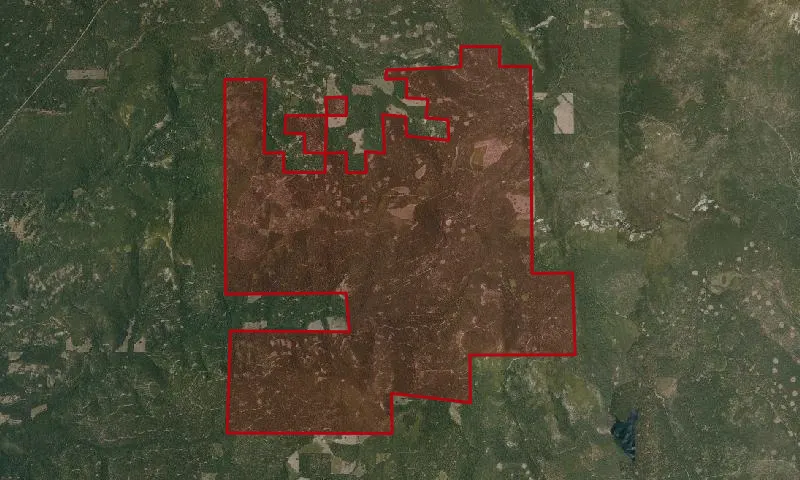 Latour Demonstration State Forest