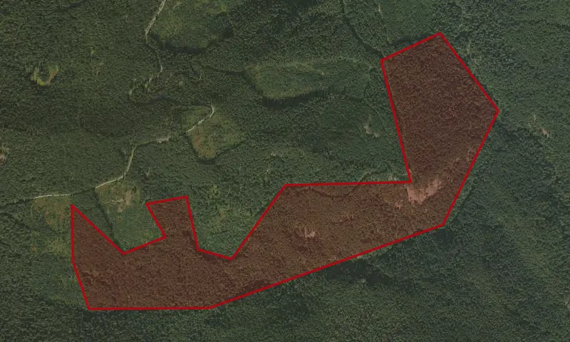Mosquito Creek Roadless Area