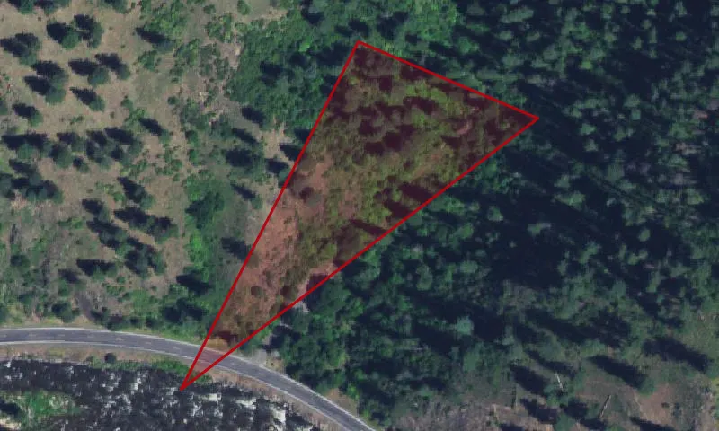 Cougar Creek Streamside Zone Withdrawal