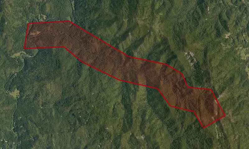 Elder Creek