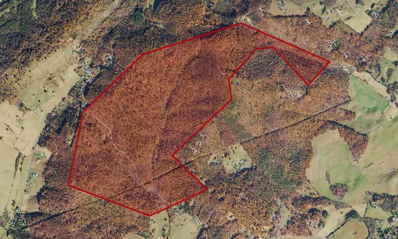 Brushy Hill