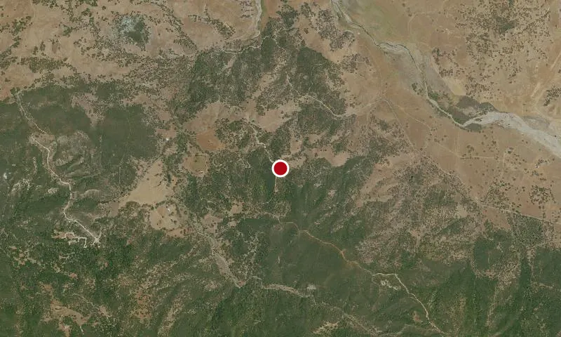 Laguna Mountain
