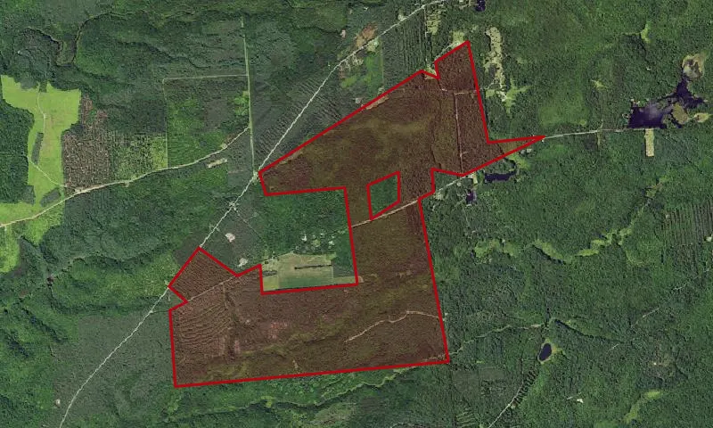 Oneida County Reforestation Area