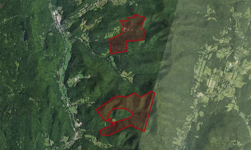 Berlin State Forest