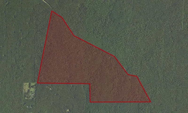 Big Woods Roadless Area