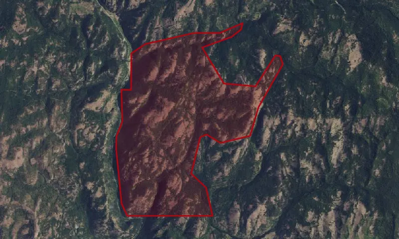 Cougar Mountain Roadless Area