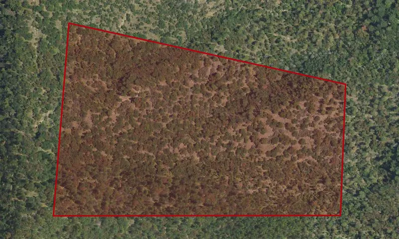 Lawrence Property