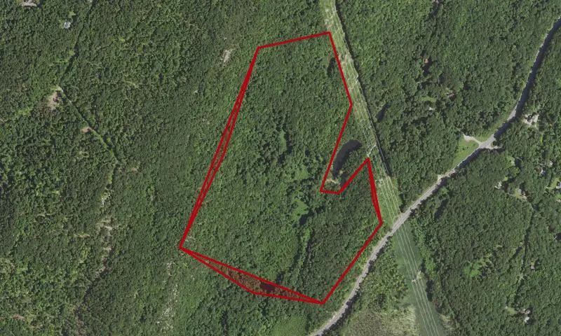 Taconic