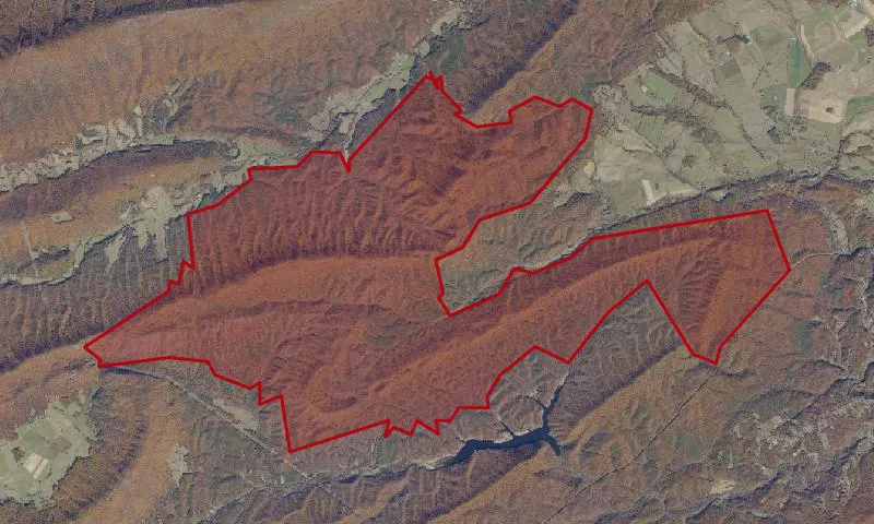 Little Walker Mountain Roadless Area