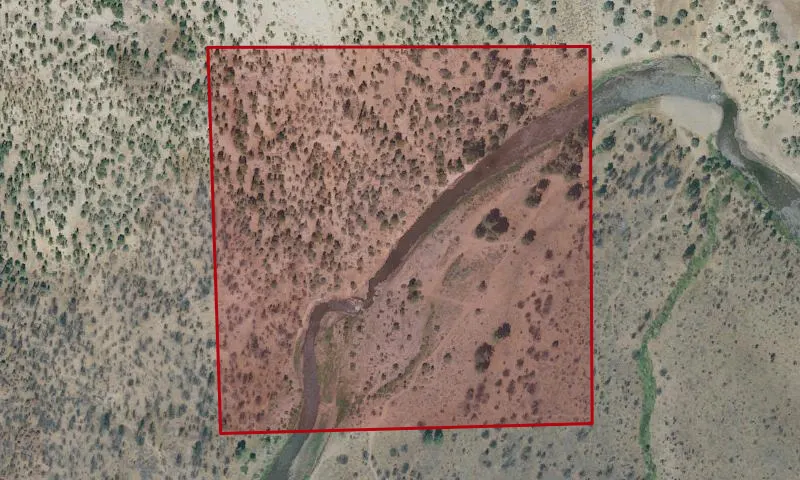 East Fork Carson River Fishing Access