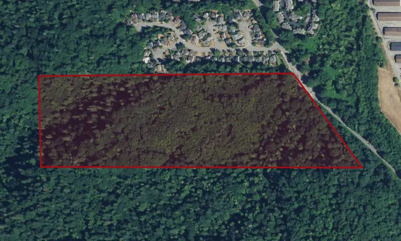 Cougar Mountain Regional Wildland Park 1