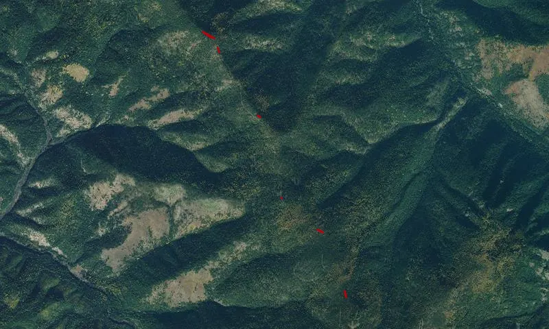 East Fork Elk Roadless Area