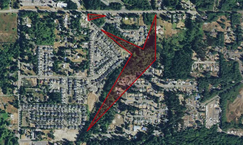 Rainier Vista