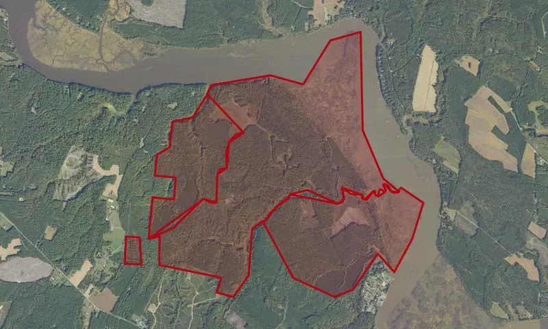 Sandy Point State Forest