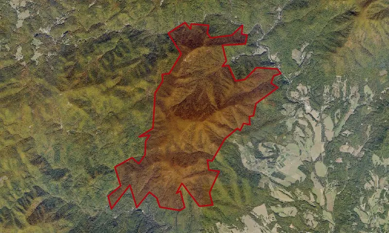 Priest Wilderness