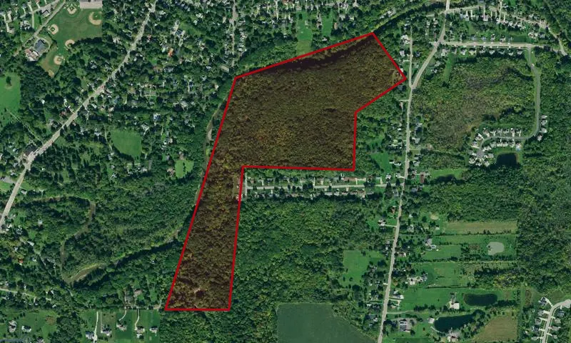 Hampton Brook Woods Wma