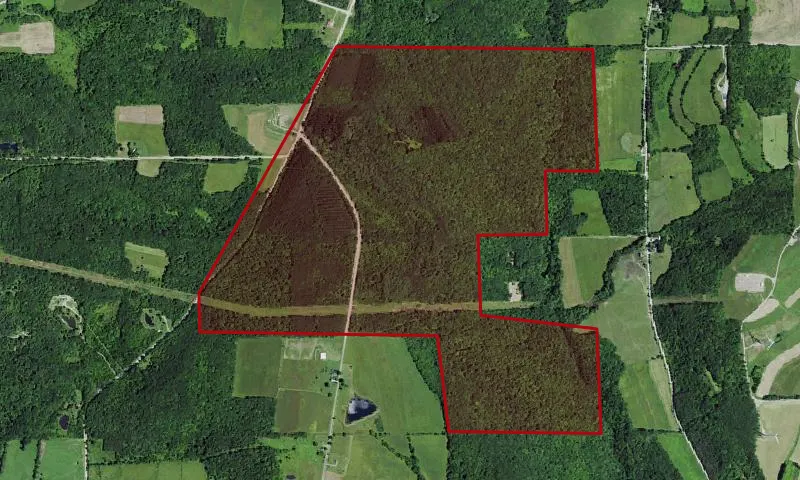 Burt Hill Multiple Use Area
