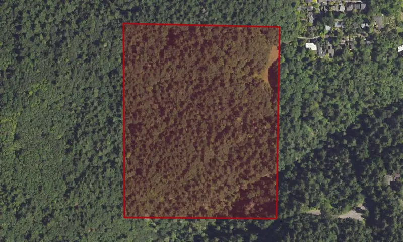 Holman Property
