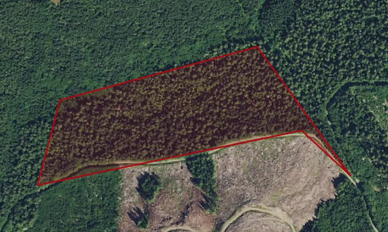 Bill'S Bog Botanical Area