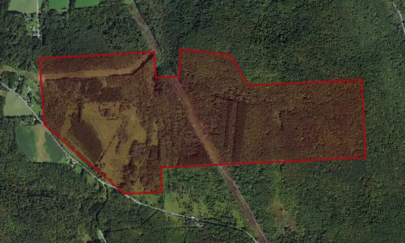 Heiberg Memorial Forest