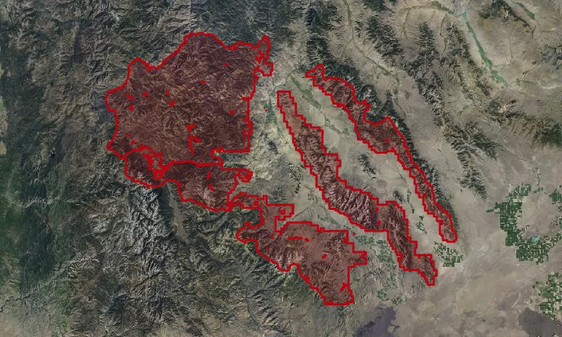 Challis National Forest