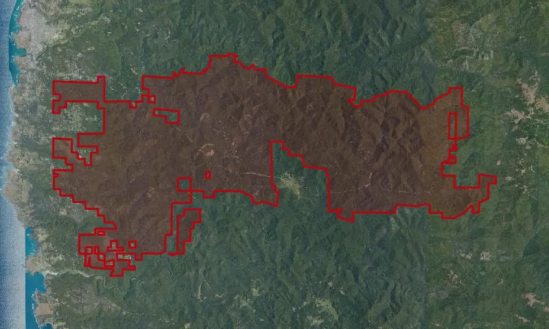 Jackson Demonstration State Forest