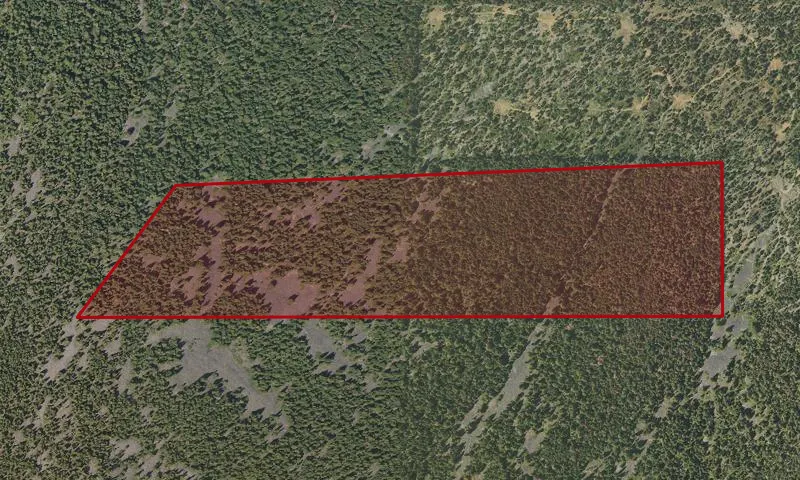 Odessa Roadless Area