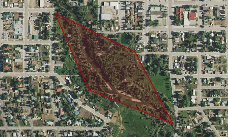 Pinedale Park