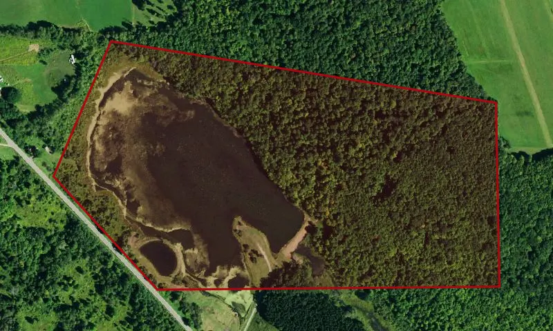 Cattaraugus County Forest Land