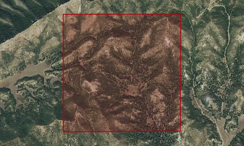Florida Mesa